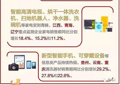 探秘春節(jié)家電熱銷區(qū)域——為何這些地方很火？